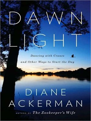 cover image of Dawn Light